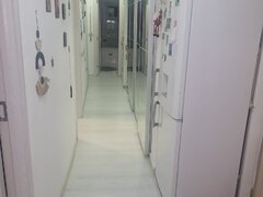 Lacul Tei Maica Domnului